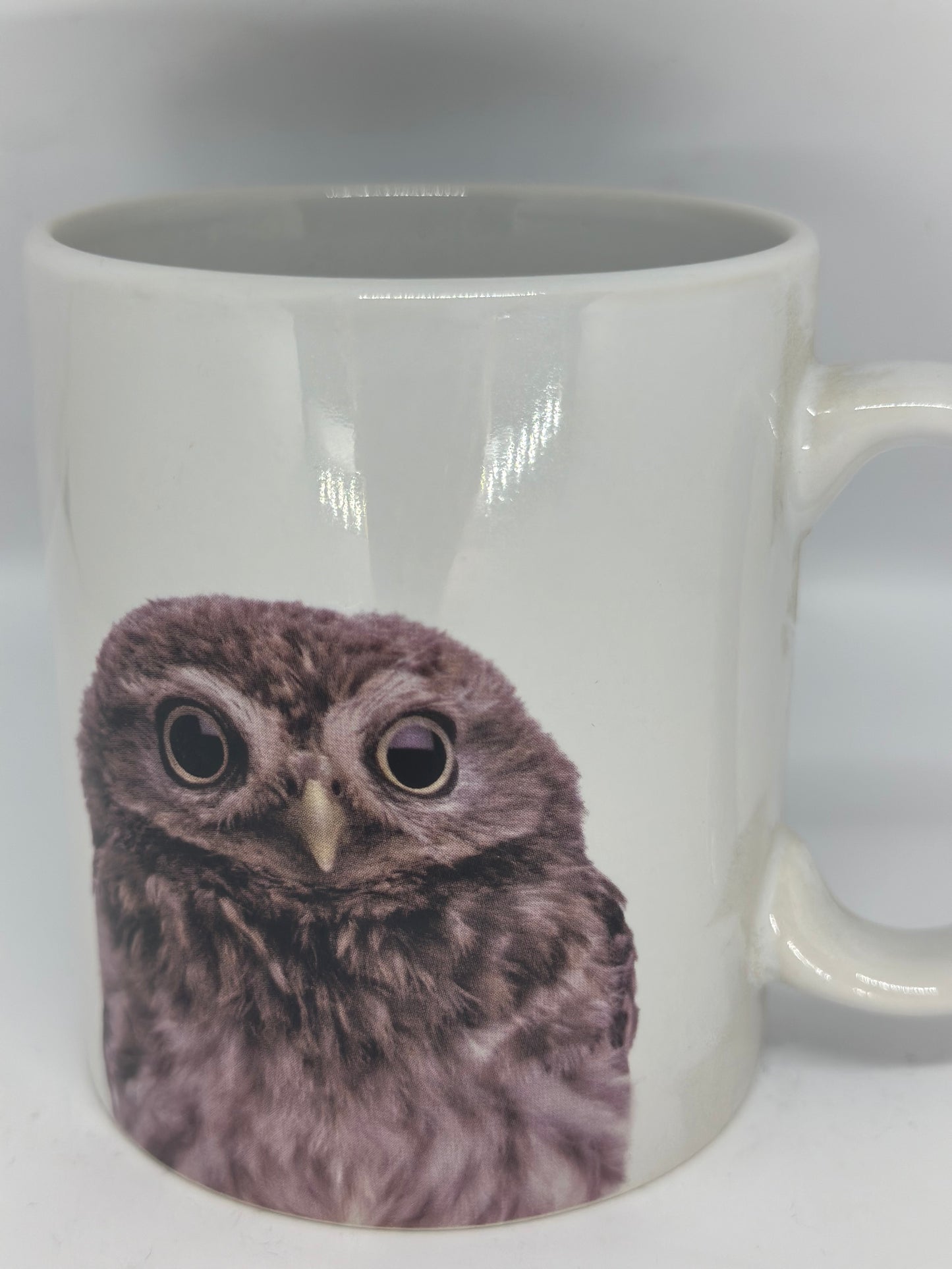 Owl Mug 10 oz