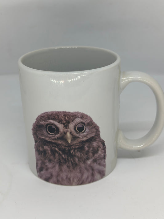 Owl Mug 10 oz